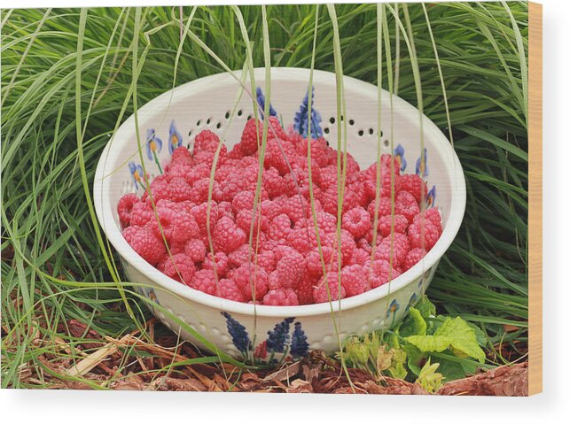 Red Wood Print featuring the photograph Fresh-Picked Raspberries by E Faithe Lester