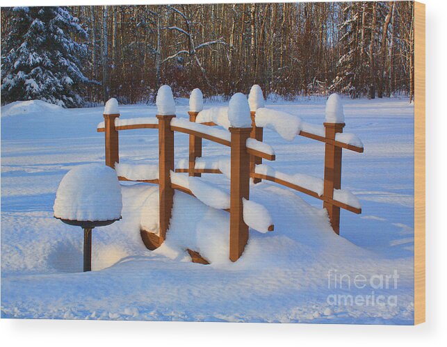 Snow Wood Print featuring the photograph Fresh Snow In A Backyard by Teresa Zieba