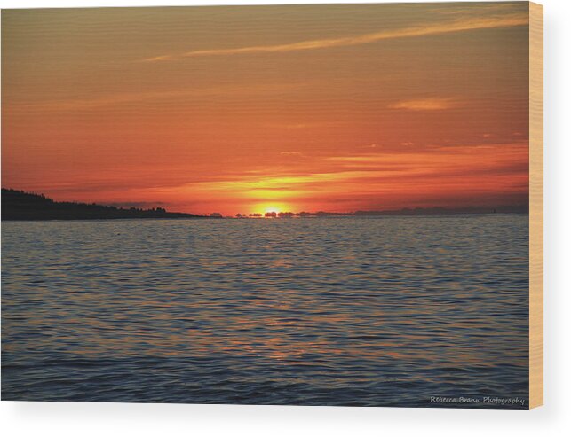 Sunrise Wood Print featuring the photograph Fresh Start by Becca Wilcox