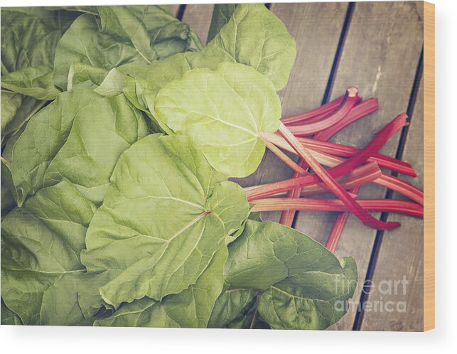 Rhubarb Wood Print featuring the photograph Freshly picked rhubarb by Sophie McAulay