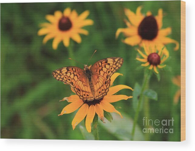Best Black-eyed Susan Wood Print featuring the photograph Friends by Reid Callaway