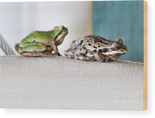 Frog Wood Print featuring the photograph Frog Flatulence - A Case Study by Rory Siegel