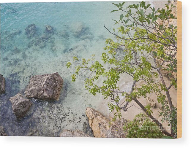 Anguilla Wood Print featuring the photograph From Above by F Innes - Finesse Fine Art