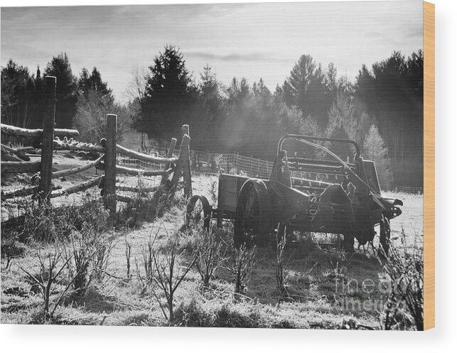 Frost Wood Print featuring the photograph Frosty Barnyard by Cheryl Baxter