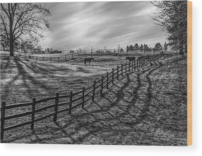 Acrylic Print Wood Print featuring the photograph Frosty Corral at Dawn by Thomas Lavoie