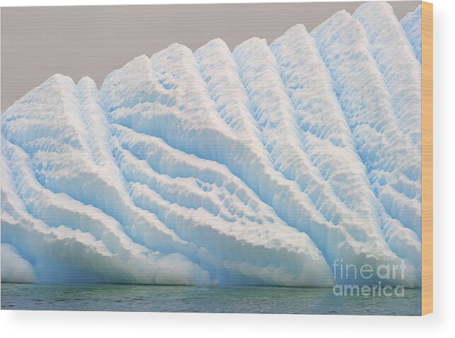 Festblues Wood Print featuring the photograph Frozen Candy... by Nina Stavlund