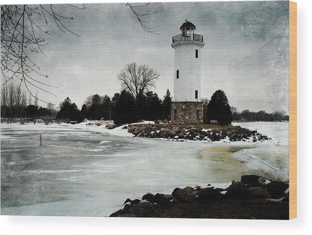 Lighthouse Wood Print featuring the photograph Frozen Entry 3 - De by Janice Adomeit