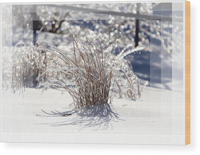 Landscape Wood Print featuring the photograph Frozen in Time by Davandra Cribbie