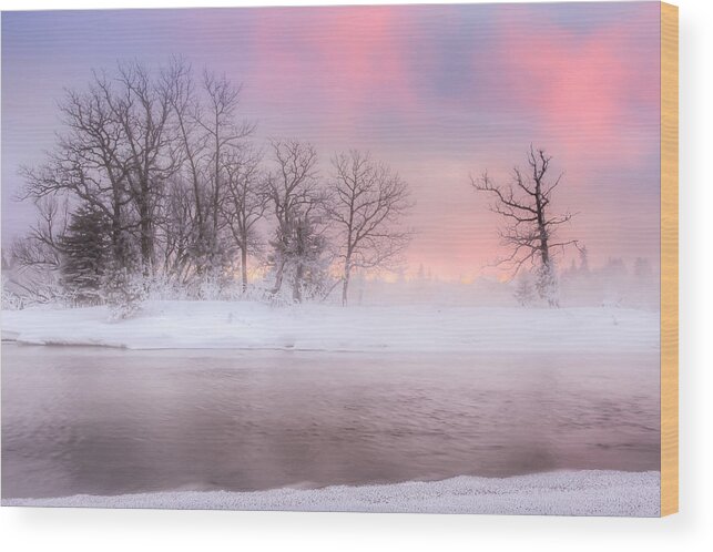 Blue Hour Wood Print featuring the photograph Frozen Island by Jakub Sisak