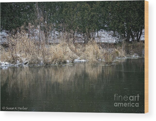 Outdoors Wood Print featuring the photograph Frozen Pond by Susan Herber