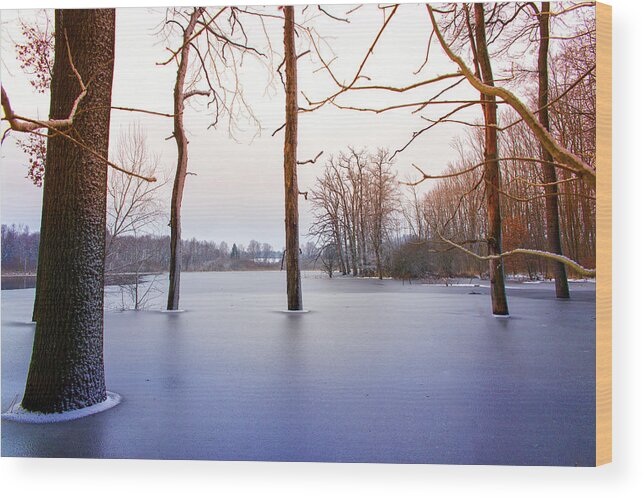 Scenics Wood Print featuring the photograph Frozen Trees by Bettina Lichtenberg