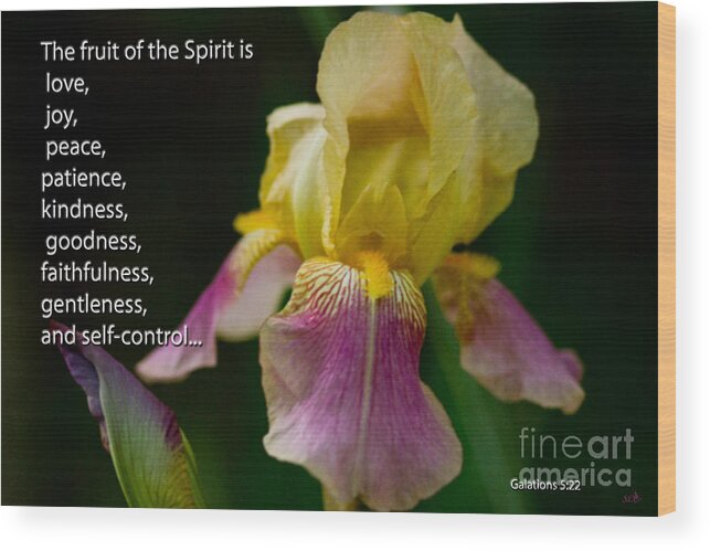 Spring Wood Print featuring the photograph Fruit of the Spirit by Sandra Clark