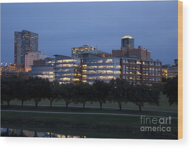 Pioneers Wood Print featuring the photograph Ft. Worth Texas Skyline by Greg Kopriva