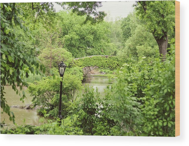 Water's Edge Wood Print featuring the photograph Gapstow Bridge In Central Park New York by Magnez2