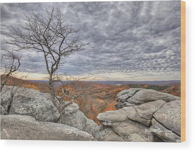 Illinois Wood Print featuring the photograph Garden of the Gods Series #2 by Wendell Thompson