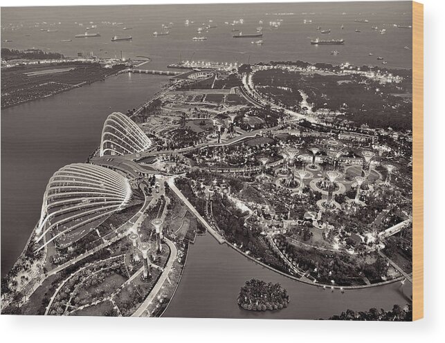 Tranquility Wood Print featuring the photograph Gardens By The Bay by Photo By William Cho