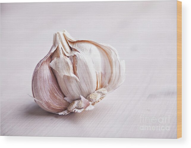 Vegetable Wood Print featuring the photograph Garlic bulb by Sophie McAulay