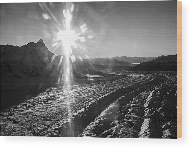 Alaska Wood Print featuring the photograph Gates Glacier 2 by Fred Denner