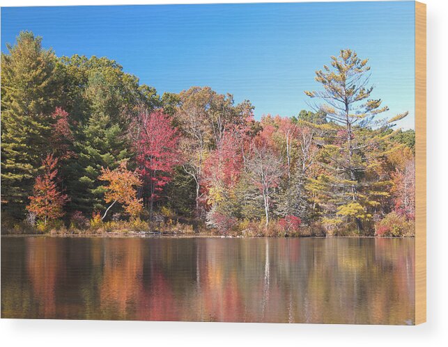 Autumn Wood Print featuring the photograph Gay City HDR 6 by Clifford Pugliese