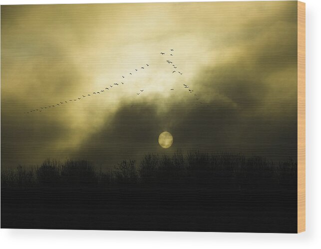 Geese Wood Print featuring the photograph Geese at Sunset by Larry Goss