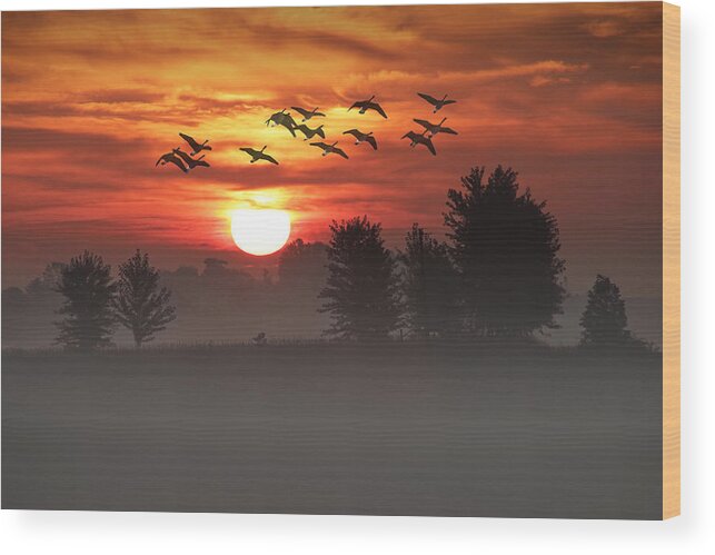 Art Wood Print featuring the photograph Geese on a Foggy Morning Sunrise by Randall Nyhof