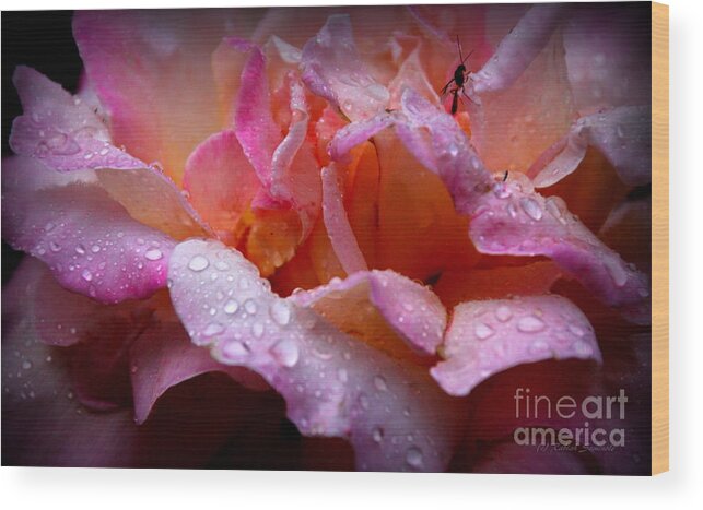 Rose Wood Print featuring the photograph Gentle Silence by Rabiah Seminole