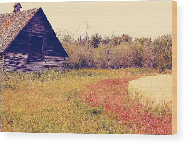 Landscapes Wood Print featuring the photograph Gently Call out by J C