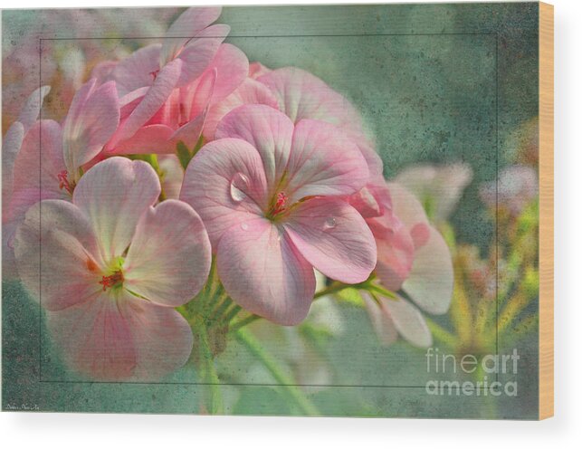 Nature Wood Print featuring the photograph Geraniums with texture by Debbie Portwood