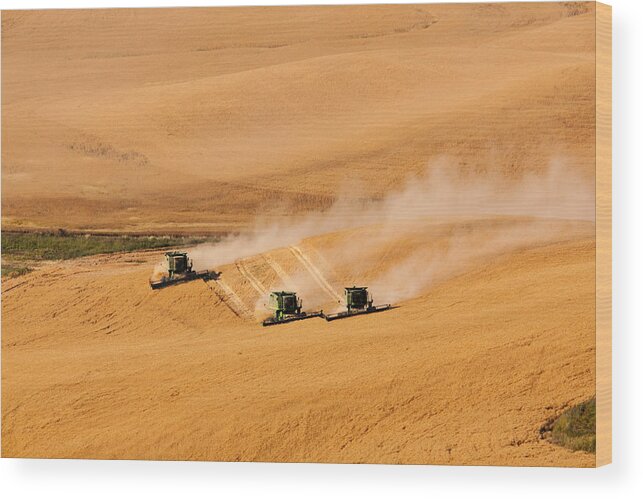 Harvest Wood Print featuring the photograph Getting Aligned by Mary Jo Allen