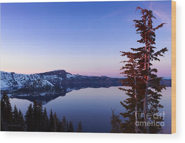 Crater Lake Wood Print featuring the photograph Getting High on Nature by Beve Brown-Clark Photography