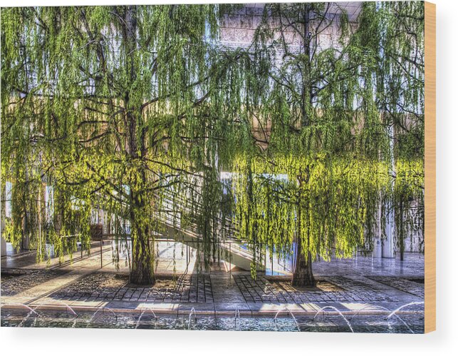 Architecture Wood Print featuring the photograph Getty Perspectives 3 by Jim Moss