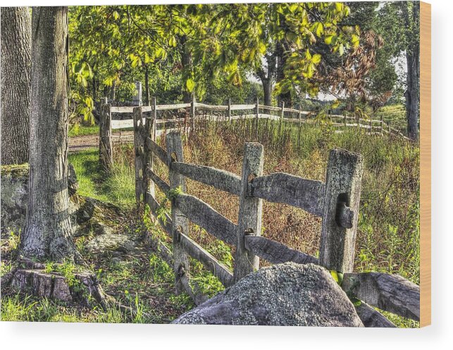 Gettysburg Wood Print featuring the photograph Gettysburg at Rest - Late Summer Along the J. Weikert Farm Lane by Michael Mazaika