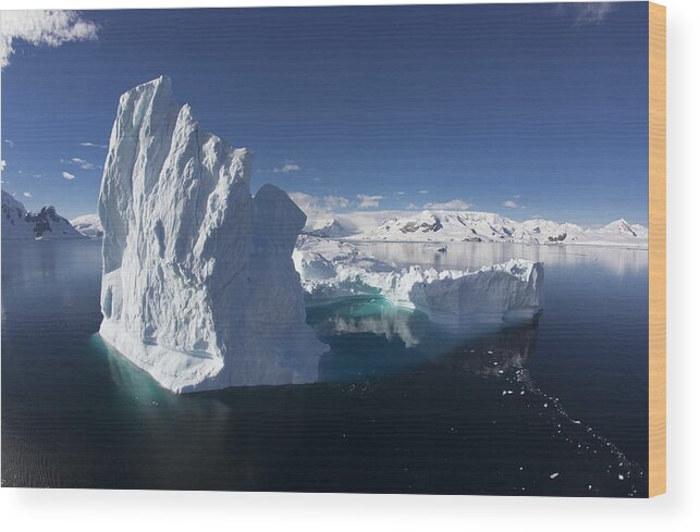 Feb0514 Wood Print featuring the photograph Giant Iceberg Gerlache Strait Antarctica by Matthias Breiter