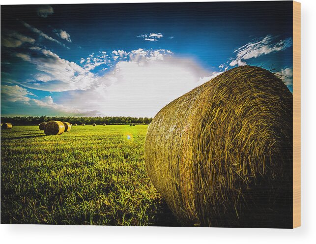 Landscape Wood Print featuring the photograph Give me More Hay Bale by David Morefield