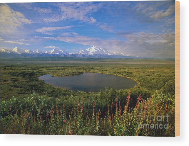 00340579 Wood Print featuring the photograph Glacial Kettle Pond And Denali by Yva Momatiuk John Eastcott