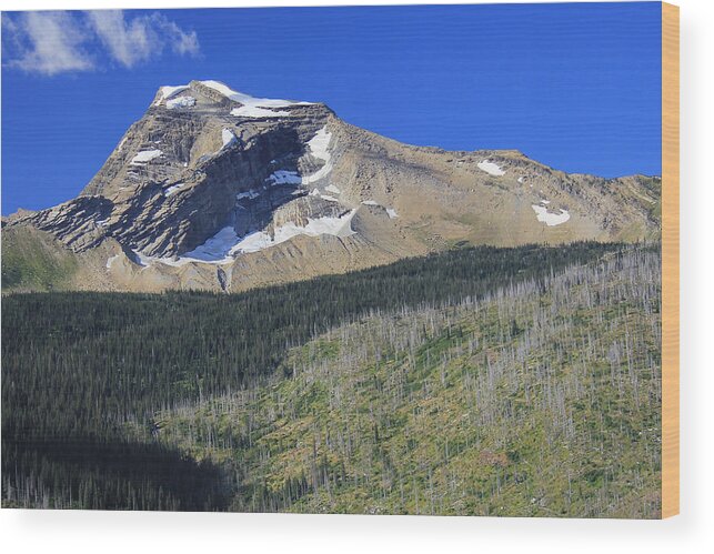 Glacier Wood Print featuring the photograph Glacier National Pk MT by Kathleen Scanlan