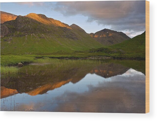 Summer Wood Print featuring the photograph Glencoe summer reflections by Stephen Taylor