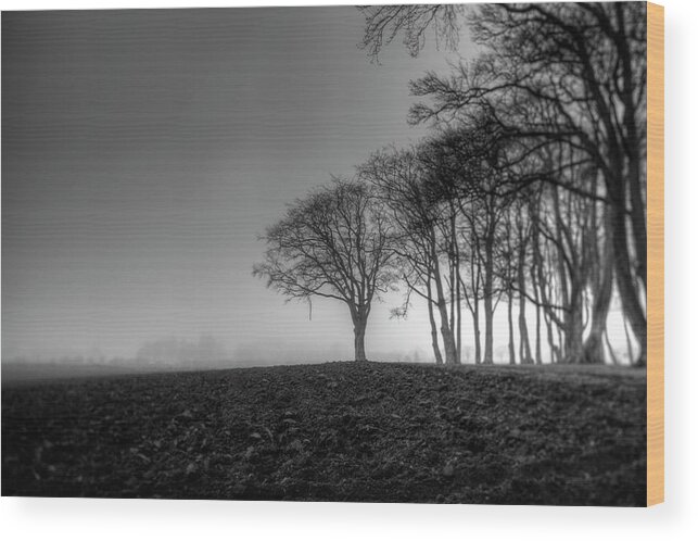 Spooky Wood Print featuring the photograph Gloomy Forest by Sindre Ellingsen