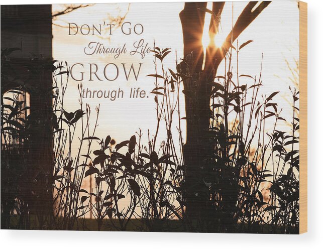 Flower Artwork Wood Print featuring the photograph Glowing Landscape with Message by Mary Buck