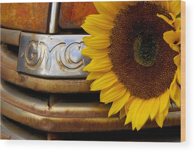 Steven Bateson Wood Print featuring the photograph GMC Sunflower by Steven Bateson