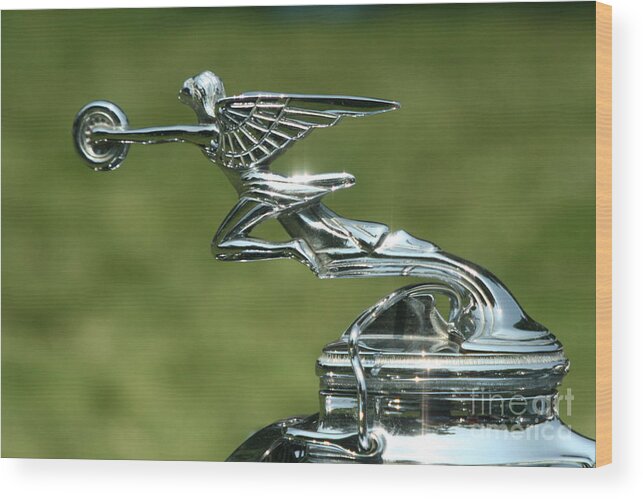 Hood Ornament Wood Print featuring the photograph Goddess of Speed by Crystal Nederman