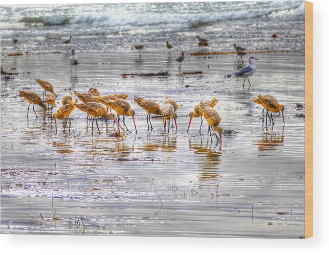 Godwits Wood Print featuring the photograph Godwits at San Elijo Beach by Dusty Wynne