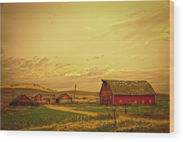 Golden Glow Farm Wood Print featuring the photograph Golden Glow Farm by Randall Branham