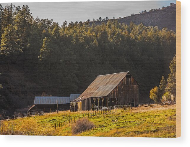 Golden Wood Print featuring the photograph Golden Hour on Colorado Barn by Paul Freidlund