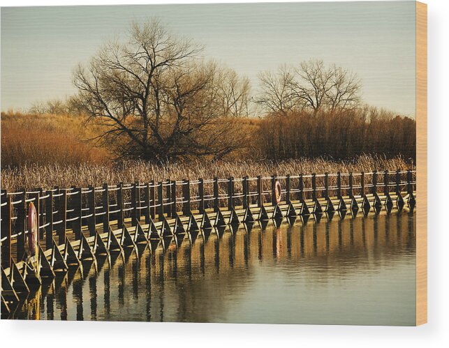 Gold Wood Print featuring the photograph Golden Mornings by Marilyn Hunt