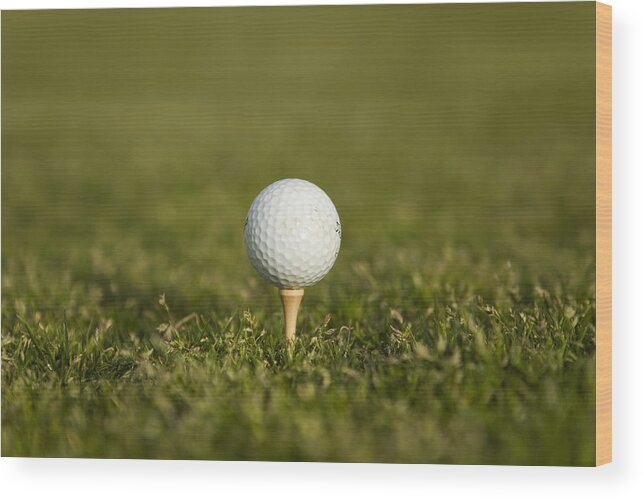 Grass Wood Print featuring the photograph Golf ball on a tee by Patrick Strattner
