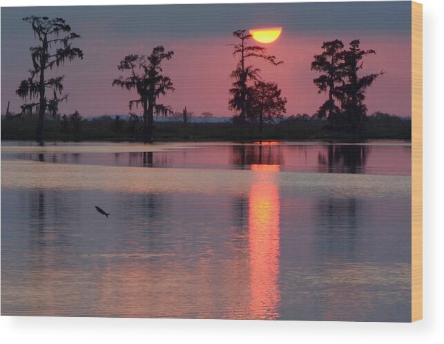 Sunset Wood Print featuring the photograph Gone Fishin by Charlotte Schafer