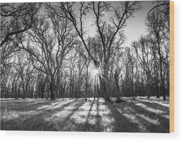 Solar Wood Print featuring the photograph Good Morning Sunshine by Randy Wood