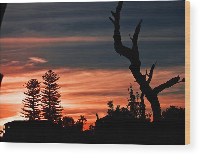 #sunset Wood Print featuring the photograph Good Night Trees by Miroslava Jurcik
