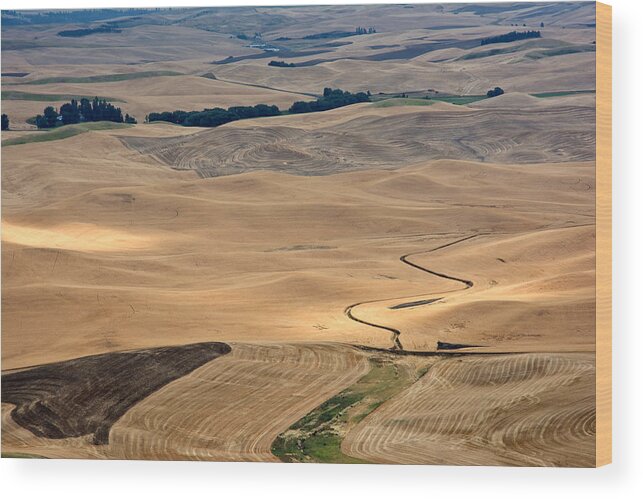 Grain Fields Wood Print featuring the photograph Grain Fields Palouse by Randall Branham